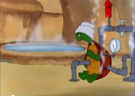 Image result for cecil turtle