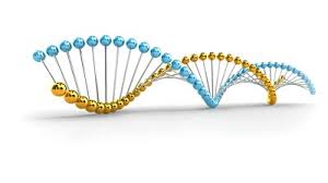 Résultat de recherche d'images pour "white dna"