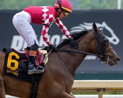 BloodHorse - News update