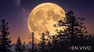 Luna Cazador EN VIVO: ve AQUÍ el fenómeno astronómico HOY 25 de octubre | EN DIRECTO