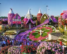 Image of Dubai Miracle Garden location