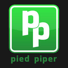 Image result for silicon valley pied piper