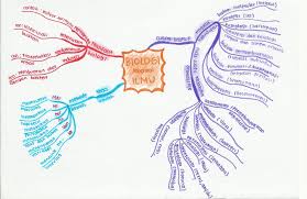 cabang ilmu biologi