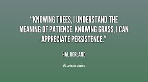 Knowing trees, I understand the meaning of patience. Knowing grass ... via Relatably.com