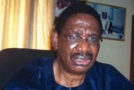 Image result for Prof Itse Sagay