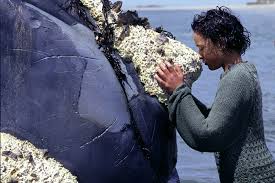 Image result for the whale rider