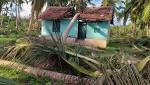 Farmer kills himself after Cyclone