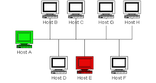 Resultado de imagen para host