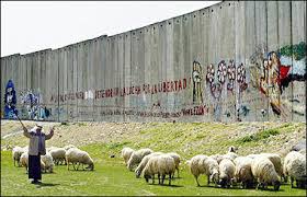 Image result for israeli wall