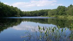 Image result for funny pictures EPA out of control