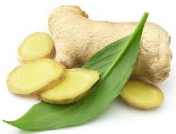 Image result for the importance of ginger