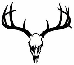 Image result for buck antlers