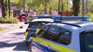 oberschule wiefelstede