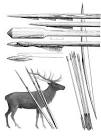 Used bow and arrows