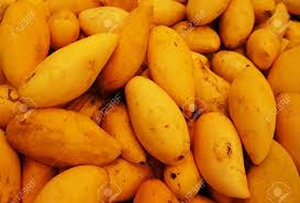 Resultado de imagem para manga fruta