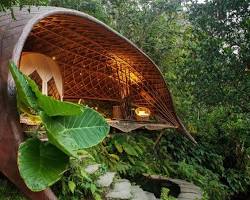 Image of Bambu Indah, Bali, Indonesia glamping