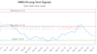 (AMD) Investment Performance Report (AMD:CA)