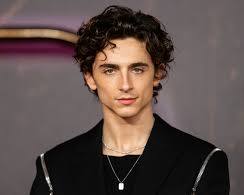 Image of Timothée Chalamet