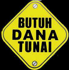 Hasil gambar untuk pinjaman dana tunai