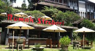 Hasil gambar untuk foto wisata bandung selatan ciwidey