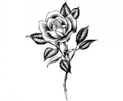 images?q=tbn:ANd9GcTXbdJ_us5pIwRQhUji3n2bPIbcQe4pZibHt5G9GO-PVXOln_om