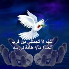 اضغط على الصورة لرؤيتها بالحجم الطبيعي