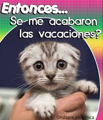 Resultado de imagen para se acabaron las vacaciones a estudiar
