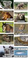 Image result for Animal Meme
