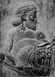 Image result for IRAN HORSES