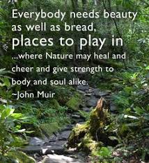 Quotes from John Muir on Pinterest | John Muir Quotes, John Muir ... via Relatably.com