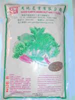 Image result for RAU MẦM CẢI XANH