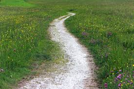 Bildergebnis für mein weg