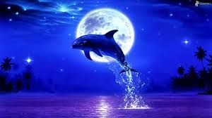 Znalezione obrazy dla zapytania delfin