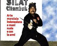 Immagine di Arte marziale Pencak Silat