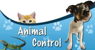 Image result for animal control