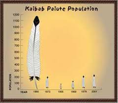 Image result for paiute indians