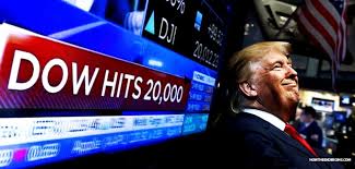 Image result for trump stock market rally