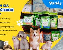 Mèo Cưng Shop  cửa hàng chăm sóc pet tại TP.HCM