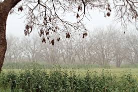 תוצאת תמונה עבור סופו של האדם