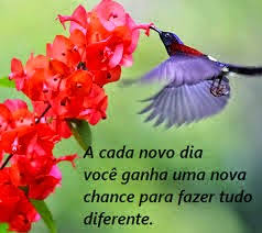 Resultado de imagem para imagem o milagre de um novo dia