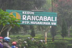 Hasil gambar untuk foto wisata bandung selatan ciwidey