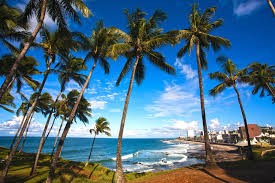 Resultado de imagem para salvador bahia brasil