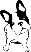 Image result for dessin de bouledogue français
