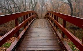 Image result for bridges