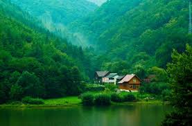 Image result for nature