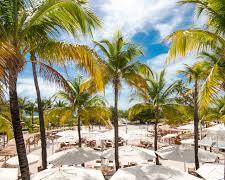 Image of Nikki Beach, Miami