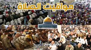 شبكة تواصل الإخبارية - News update