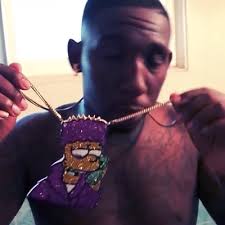 Image result for cam'ron pink fur