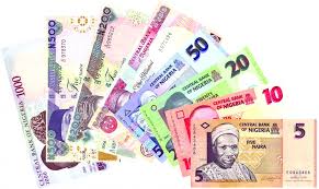 Image result for naira