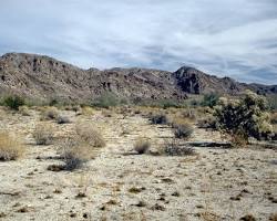 Image of Colorado Desert California